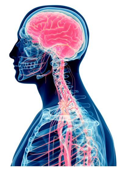 AIMC Neurological Conditions - Bell's Palsy Facial Paralysis Eye Conditions - WP