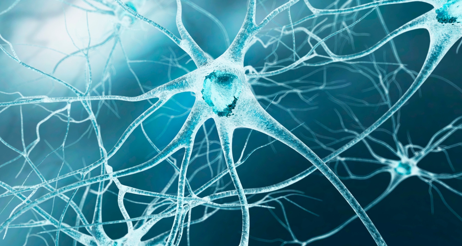 Neurology Acupuncture Integrative Medical Center WP