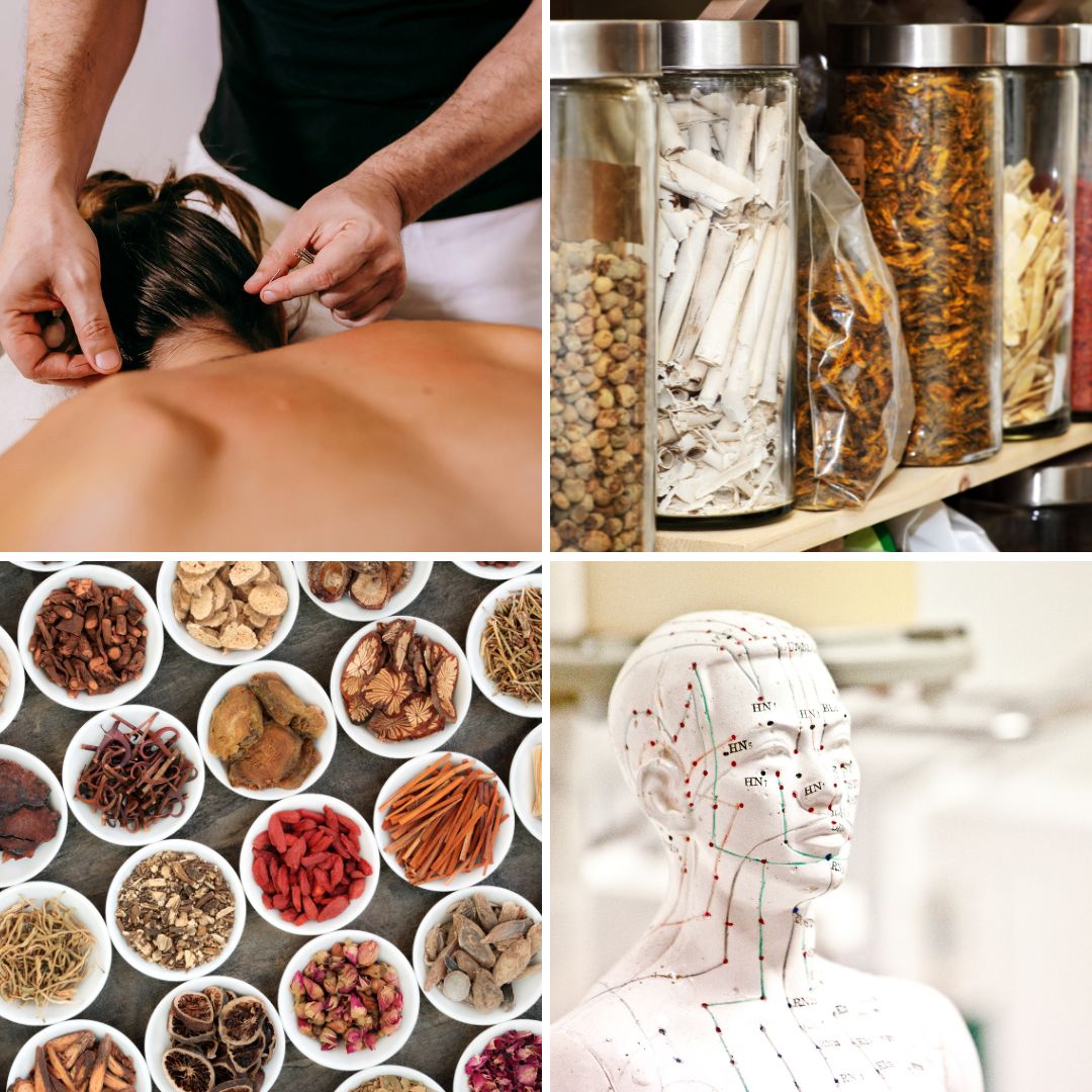 AIMC Acupuncture Herbs-WP AIMC Acupuncture Herbs-WP