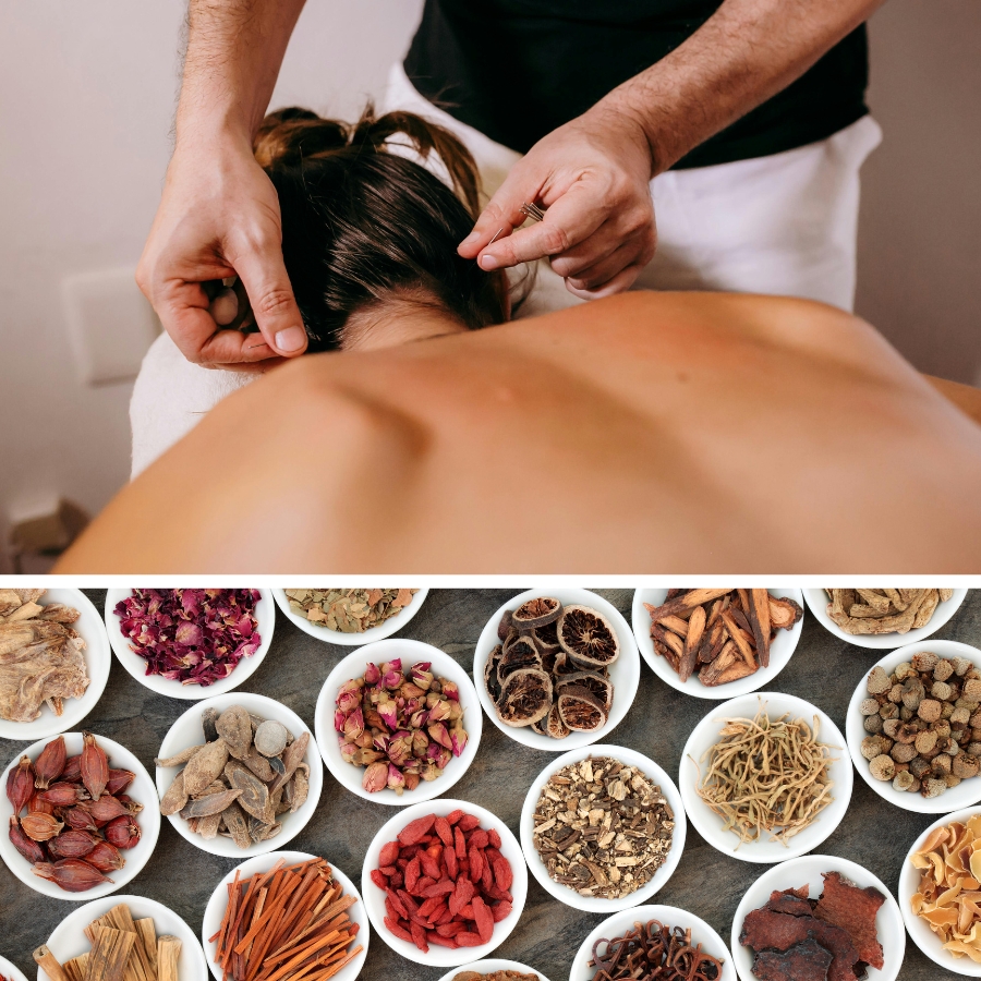 AIMCDFW Acupuncture Holistic Treatments and Herbal Medicine